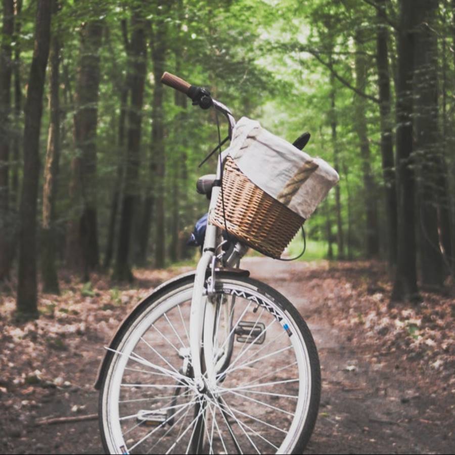 Motivos recuperar bicicleta