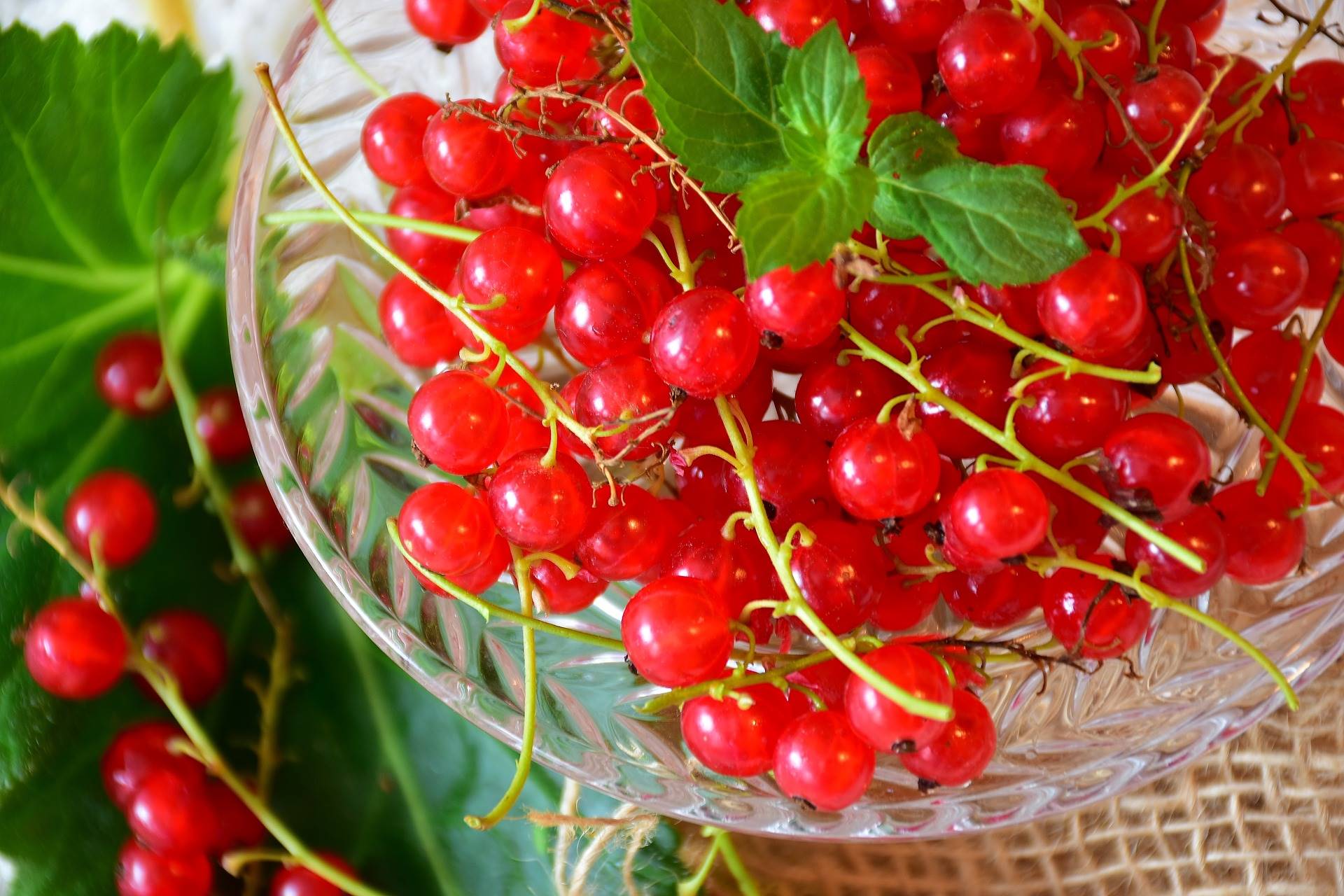 currants-g7d95fd602 1920