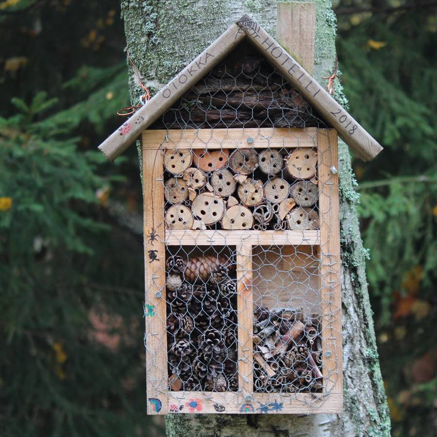 Cómo hacer una casita para las abejas silvestres (también en la ciudad)