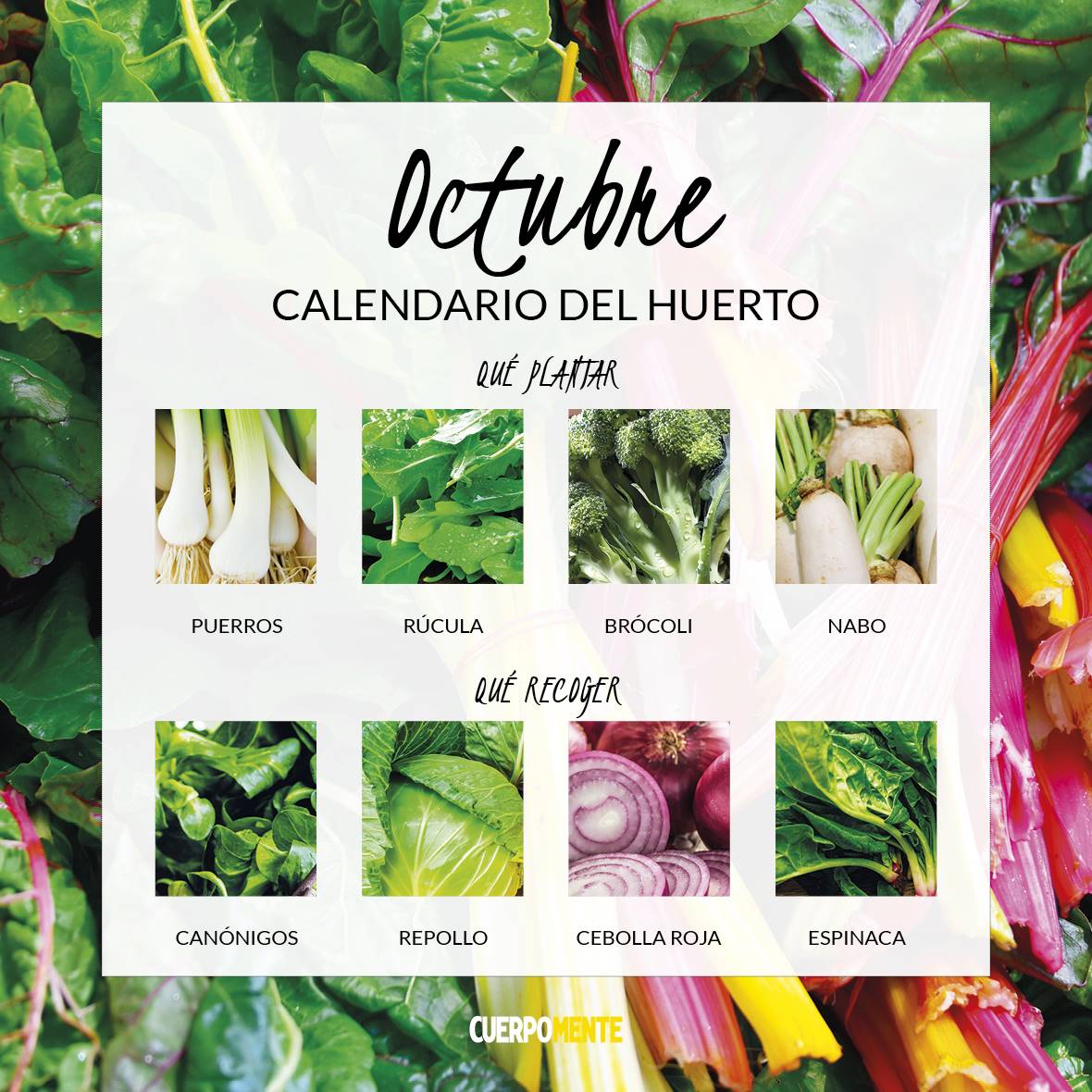 CALENDARIO VERDURAS 202110