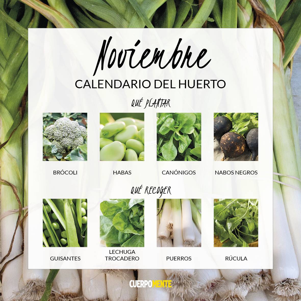 CALENDARIO VERDURAS 202111
