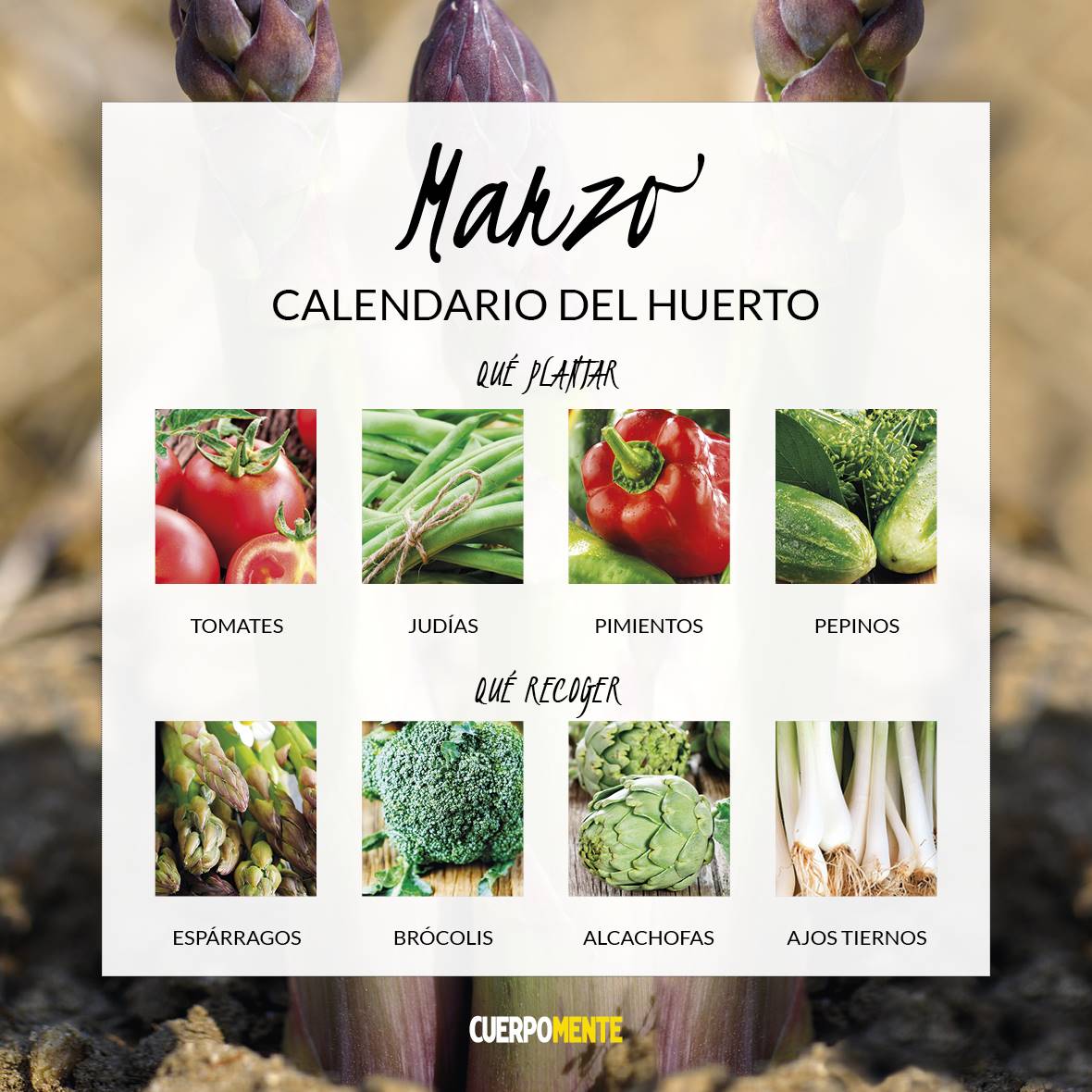 CALENDARIO VERDURAS 20213