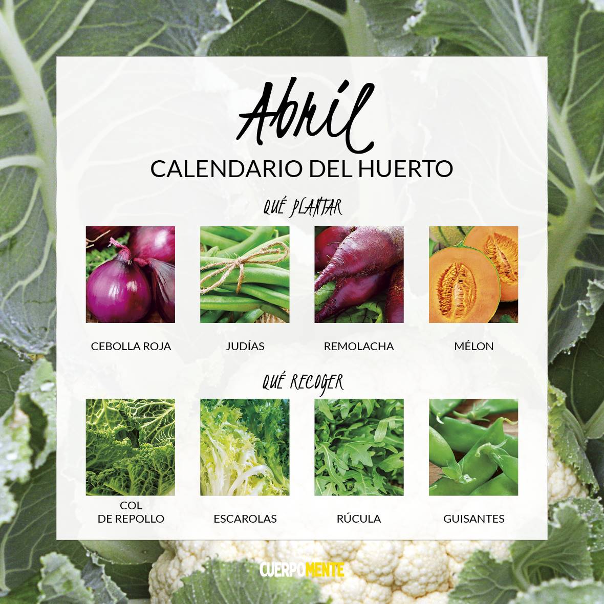 CALENDARIO VERDURAS 20214