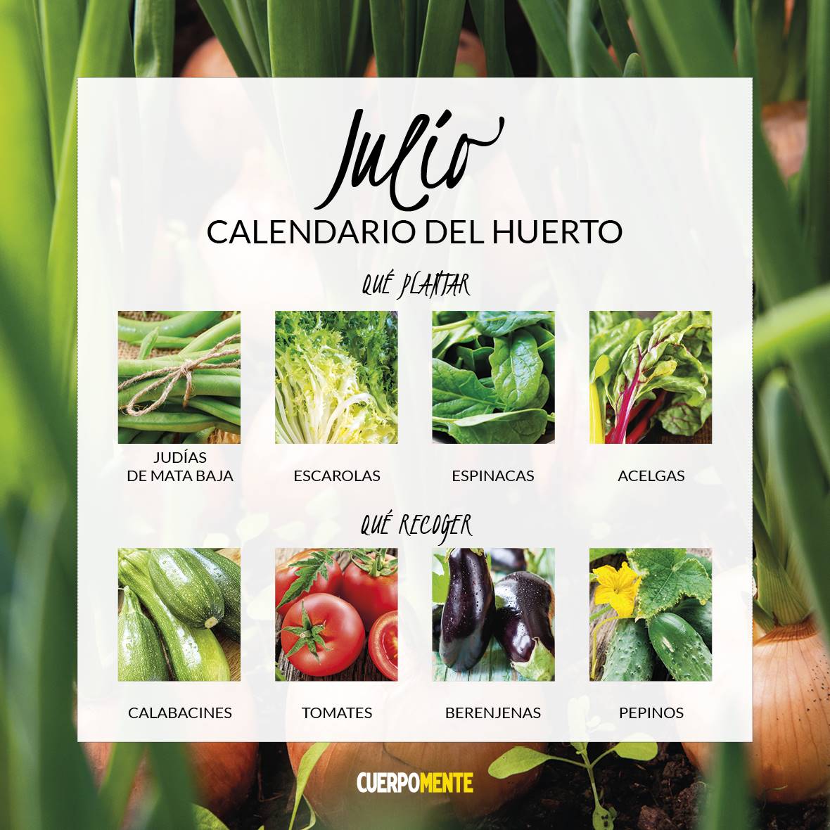 CALENDARIO VERDURAS 20217