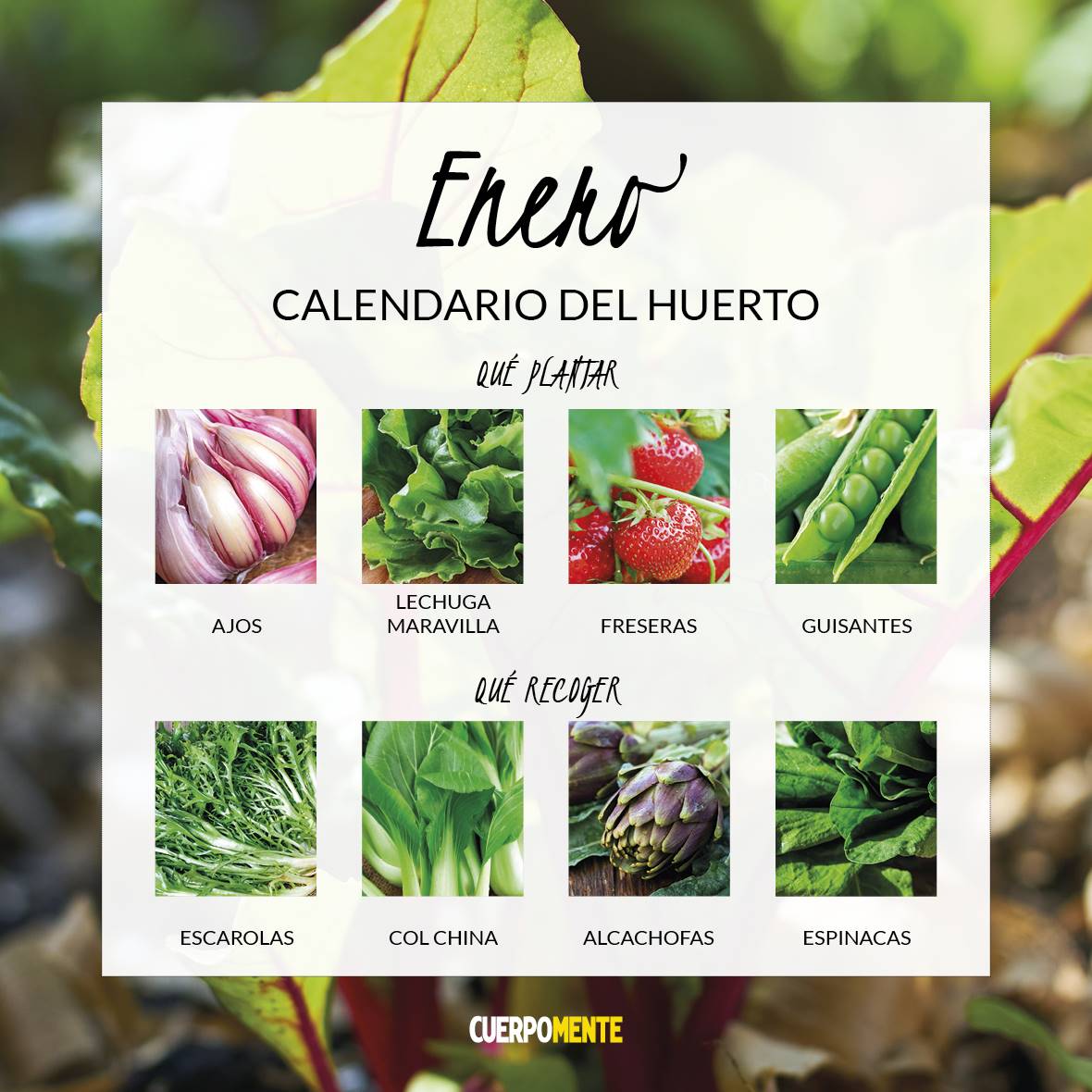 CALENDARIO VERDURAS 2021