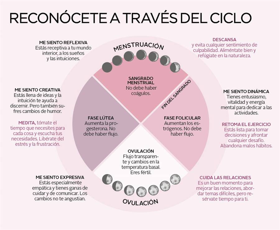 comprender ciclo menstrual
