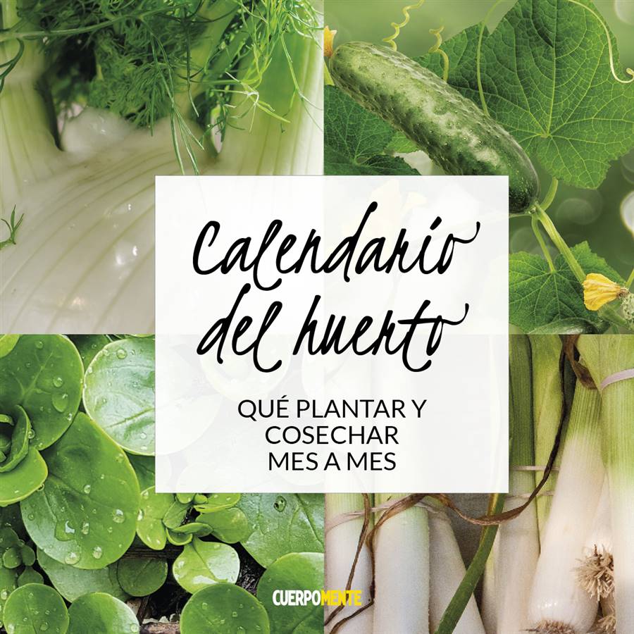 calendario del huerto