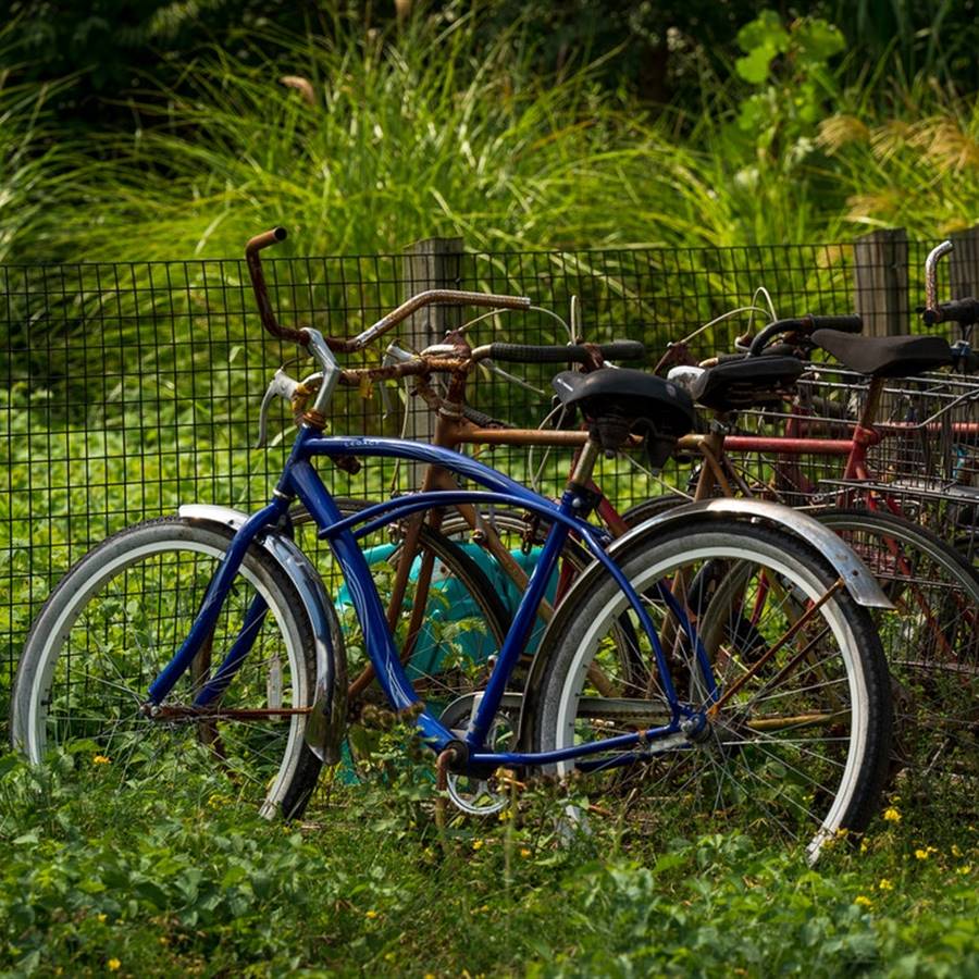 Cómo elegir bicicleta en tres pasos y empezar a ganar salud