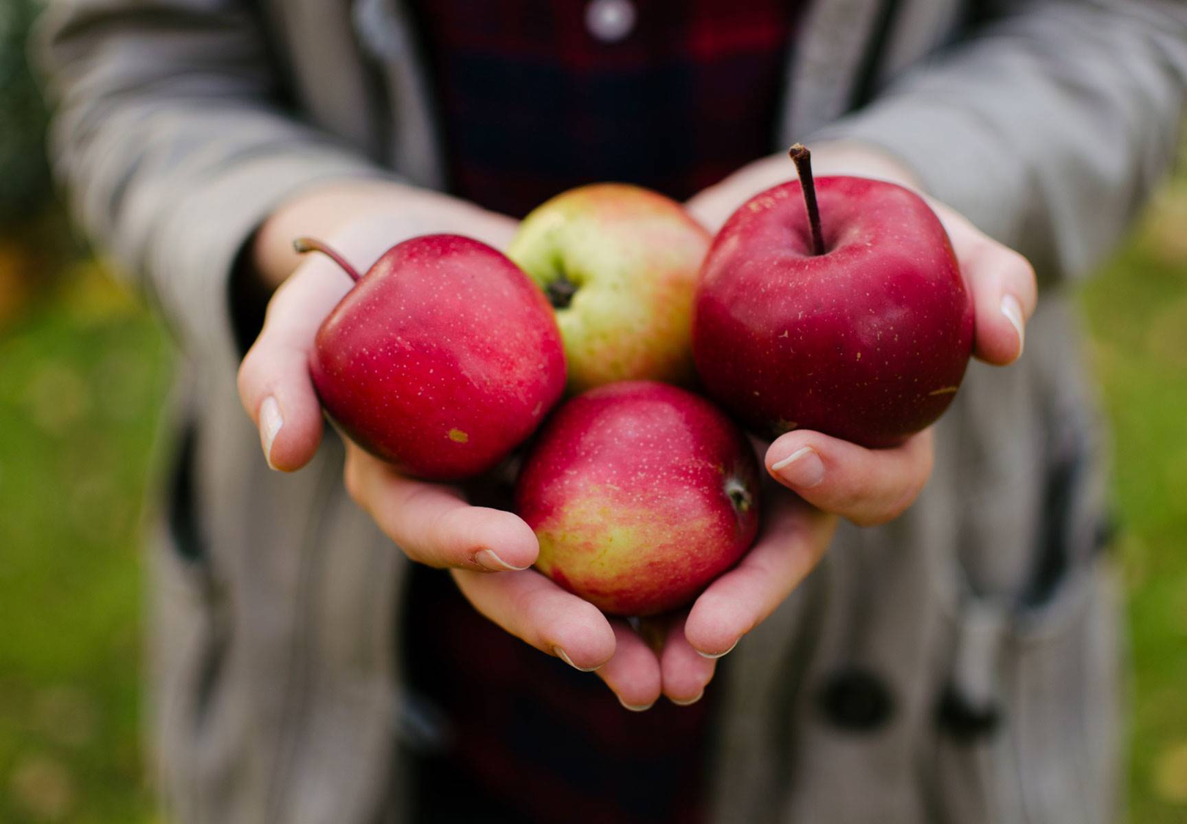 alimentos-ricos-fibra-estrenimiento-embarazo-manzana. Manzana