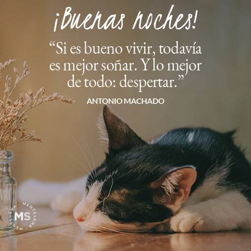 30 frases de buenas noches positivas para desear un feliz descanso