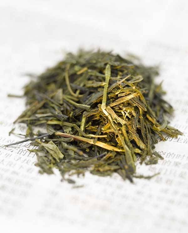 Sencha