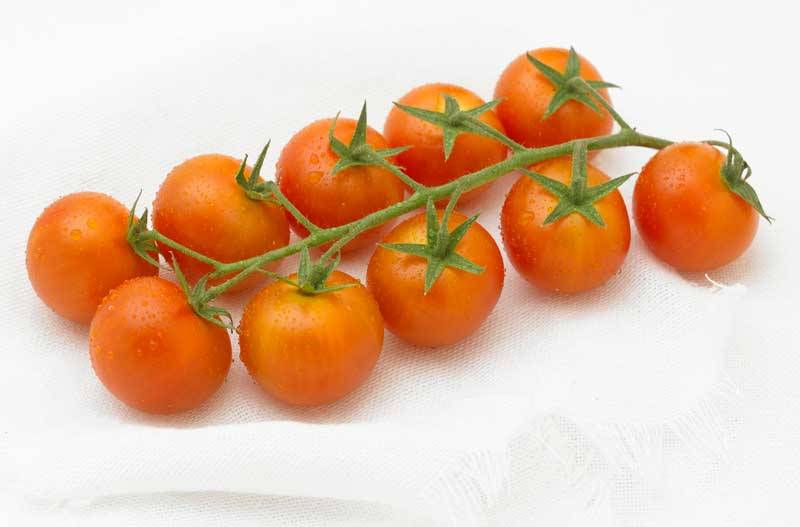 Tomate cherry