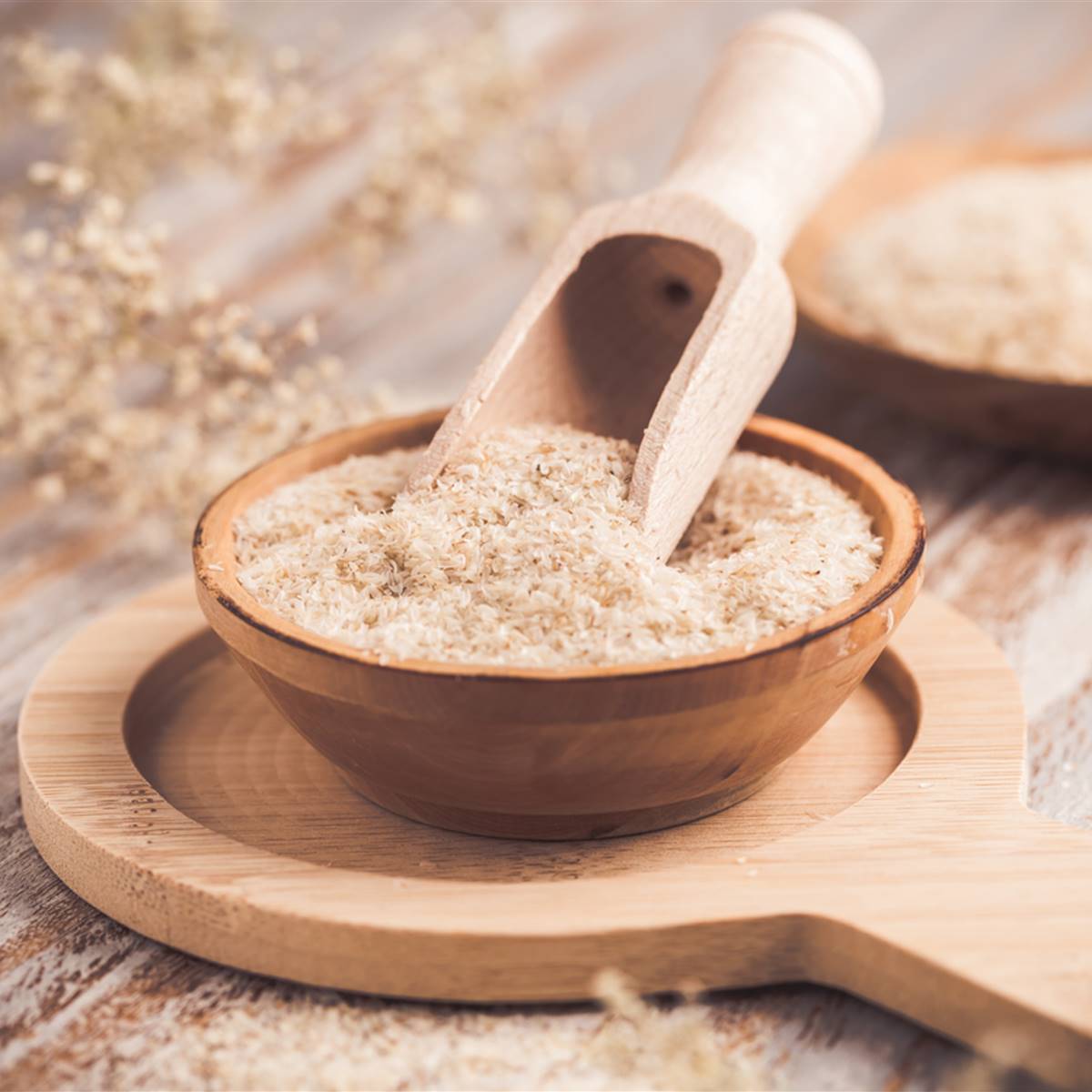psyllium-gran-bálsamo-intestinal 