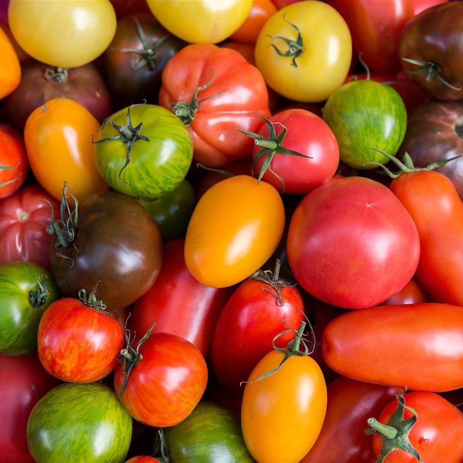 El tomate te apetece: 8 variedades deliciosas y saludables