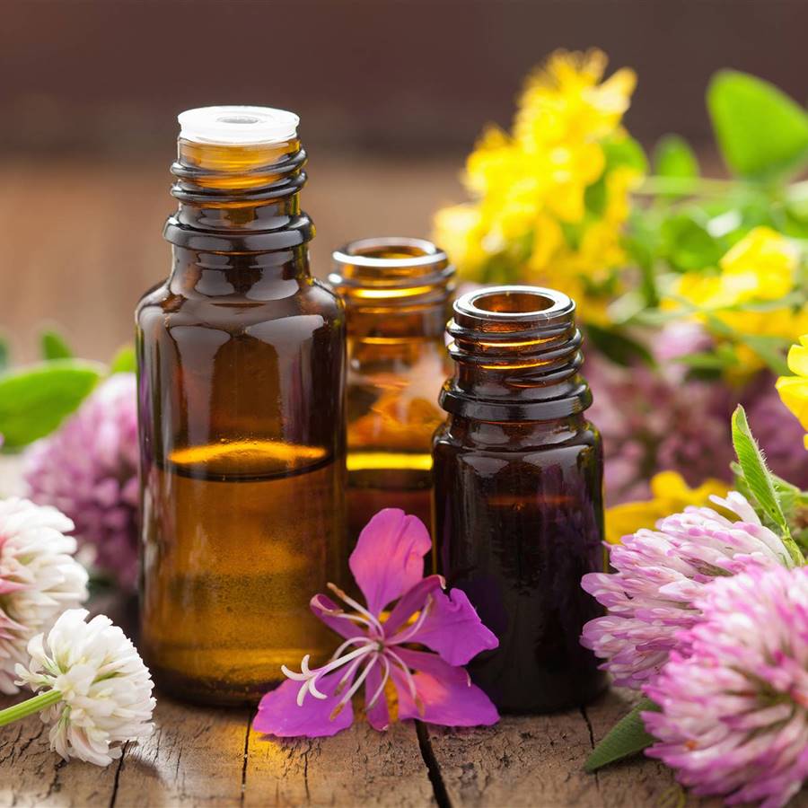 12 aceites vegetales que se usan en cosmética natural (y sus propiedades)