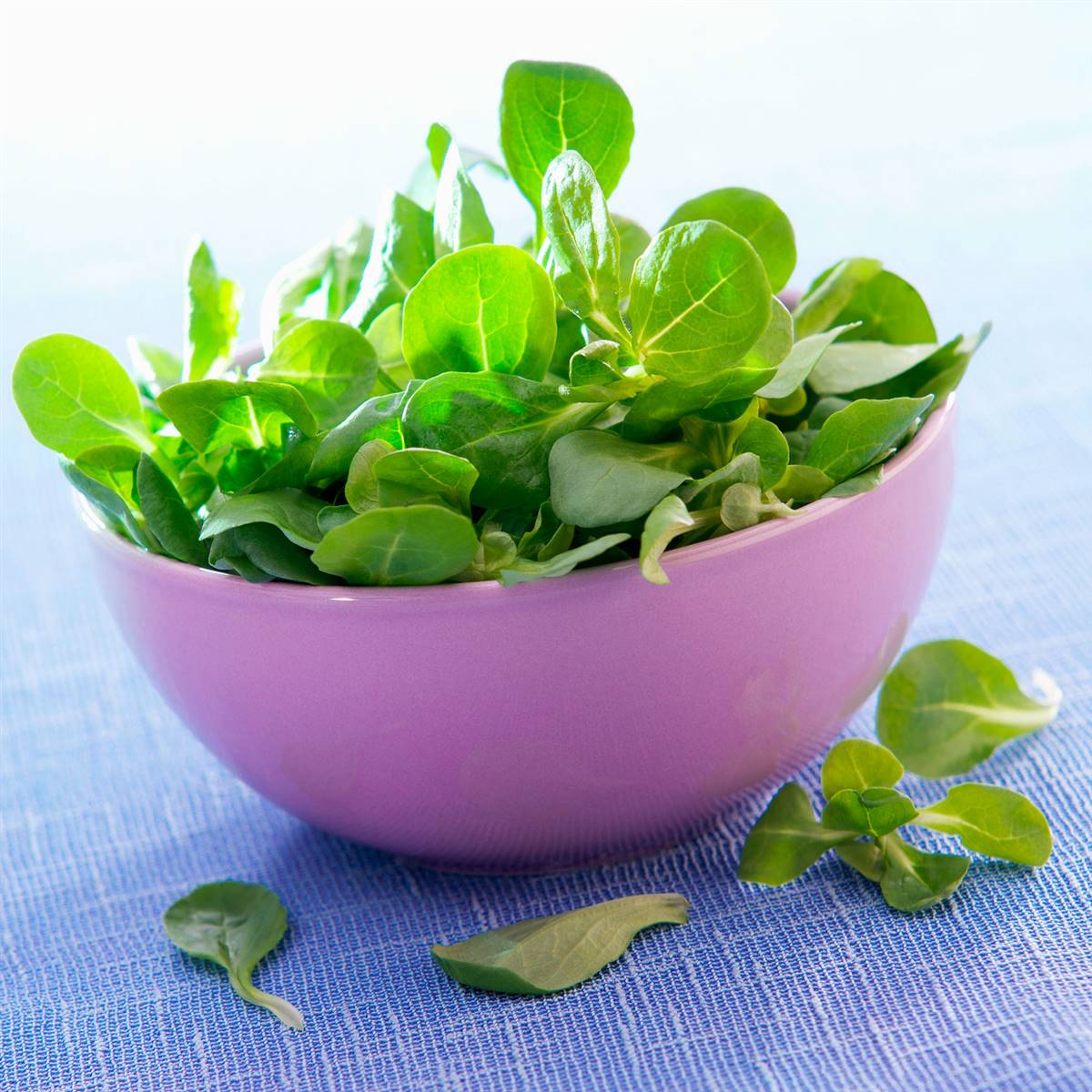 Verdolaga: beneficios como alimento y remedio natural