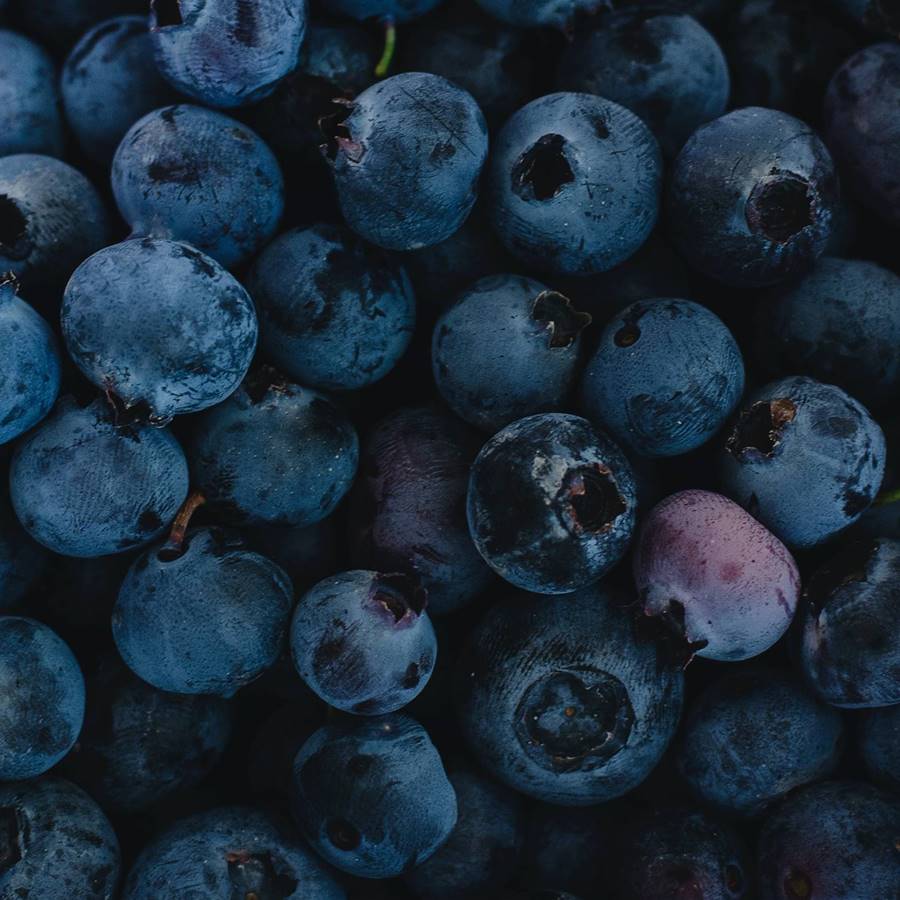 7 alimentos morados con un poder altamente antioxidante 