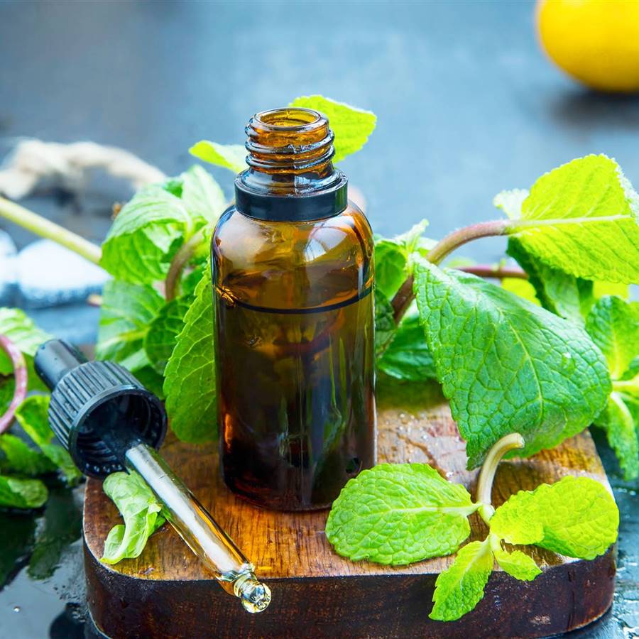 Aceite esencial de menta frente al dolor de cabeza y muscular