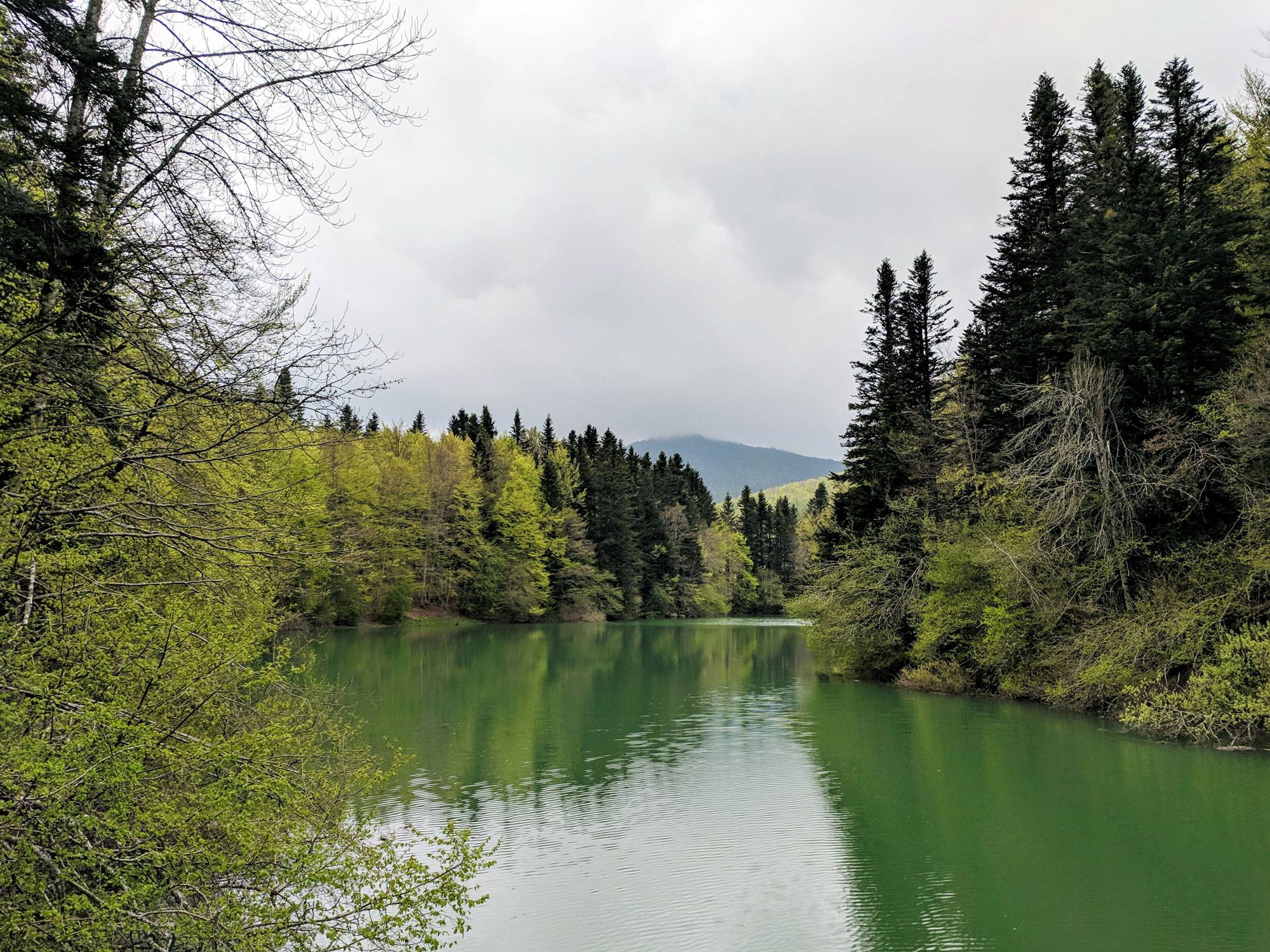 selva-irati-embalse-Irabia