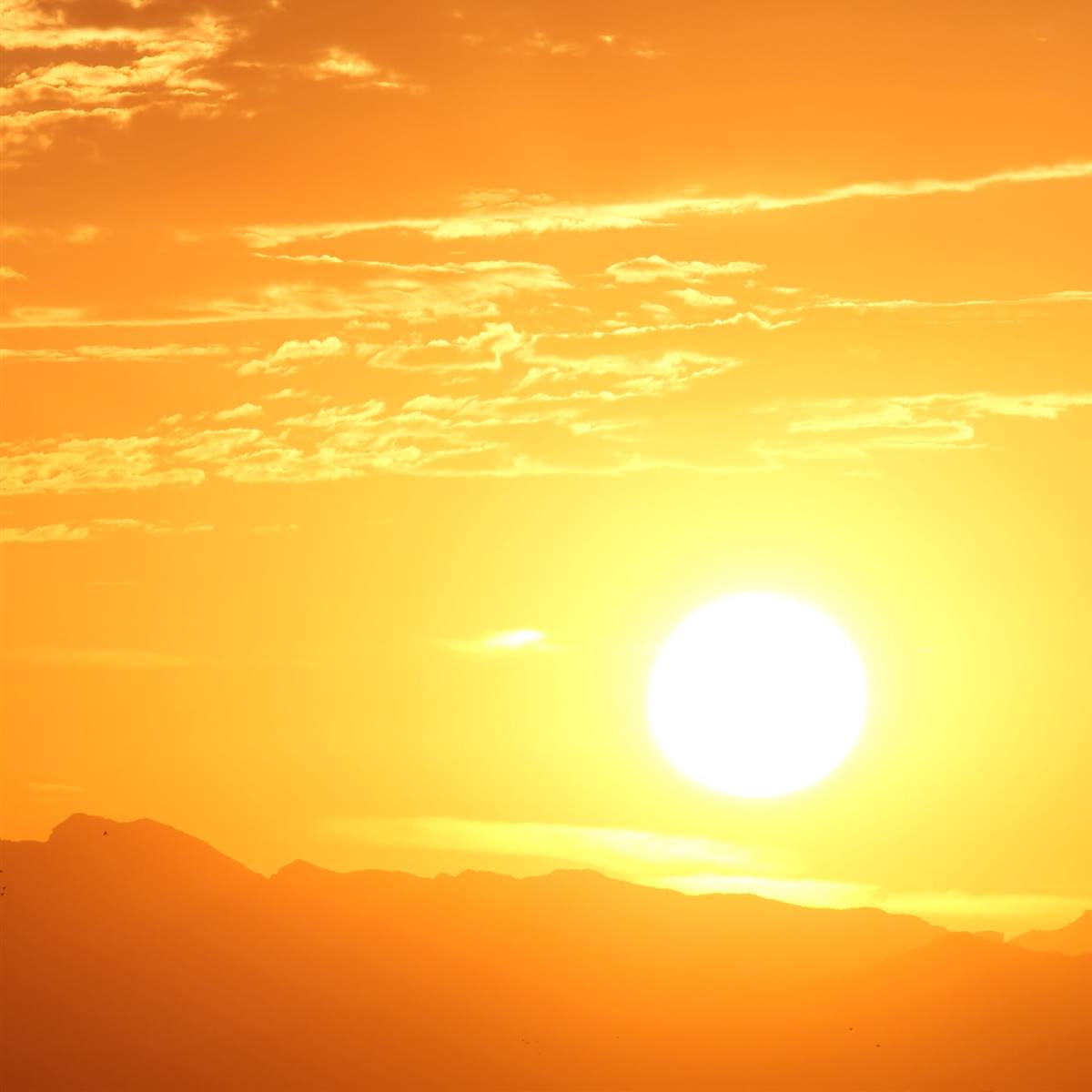 Sol