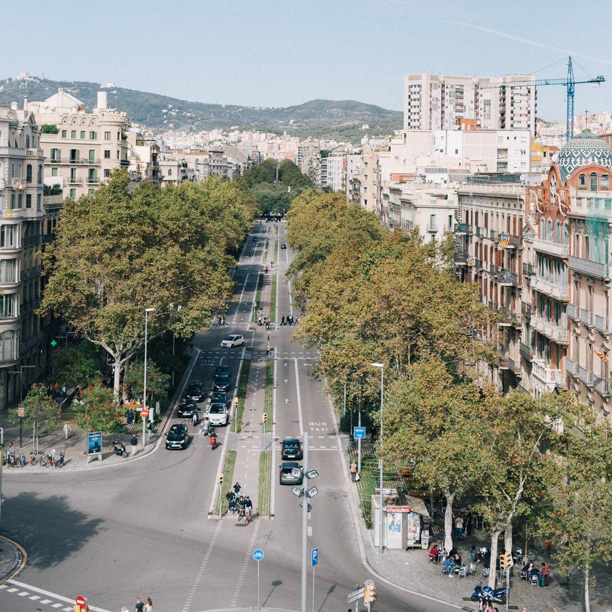 Vista de ciudad con árboles