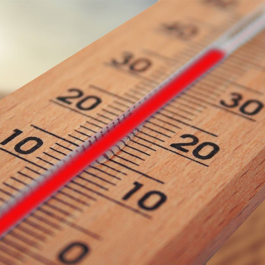 Días de altas temperaturas: cómo gestionar el calor desde la madrugada hasta la tarde