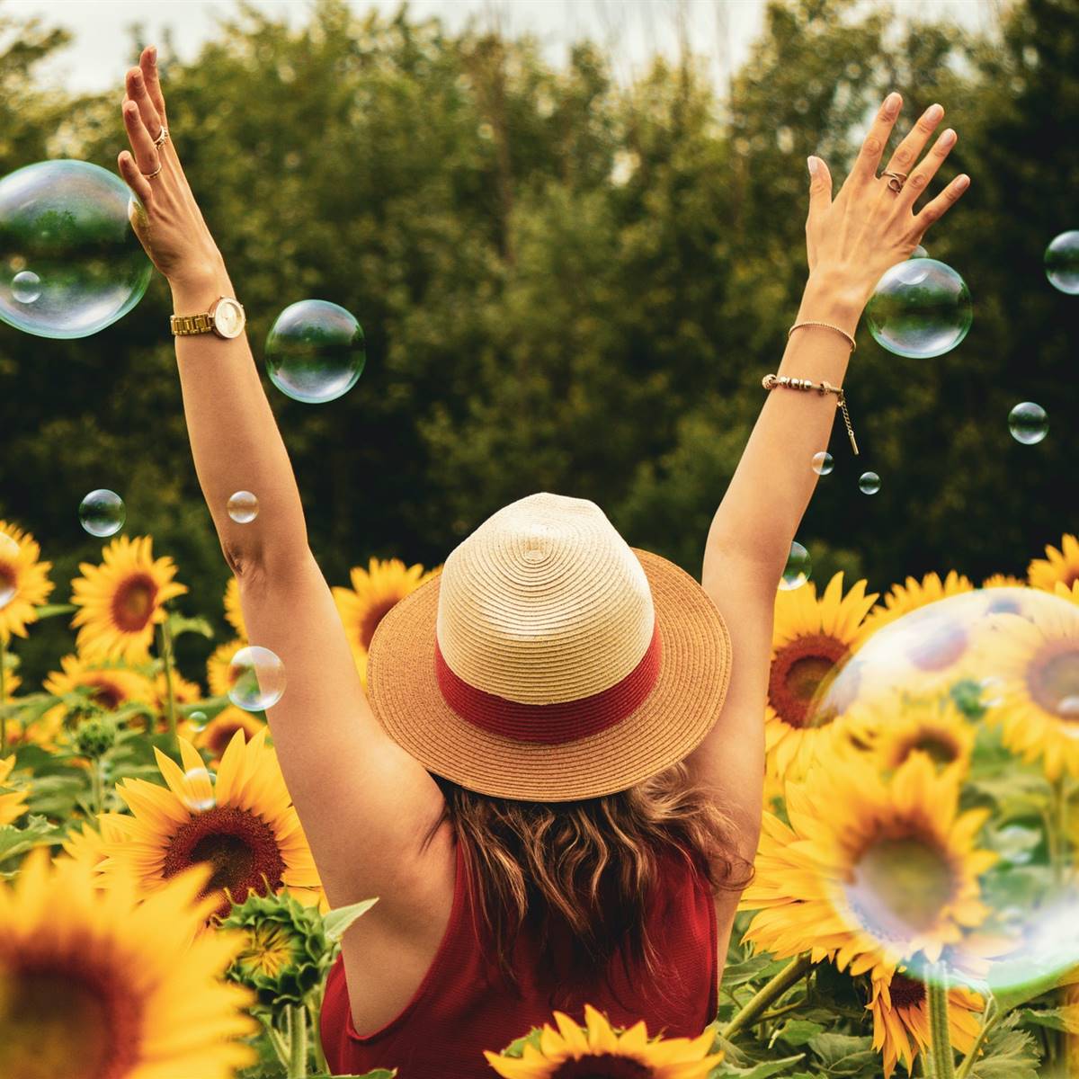 Mujer en un campo de girasoles