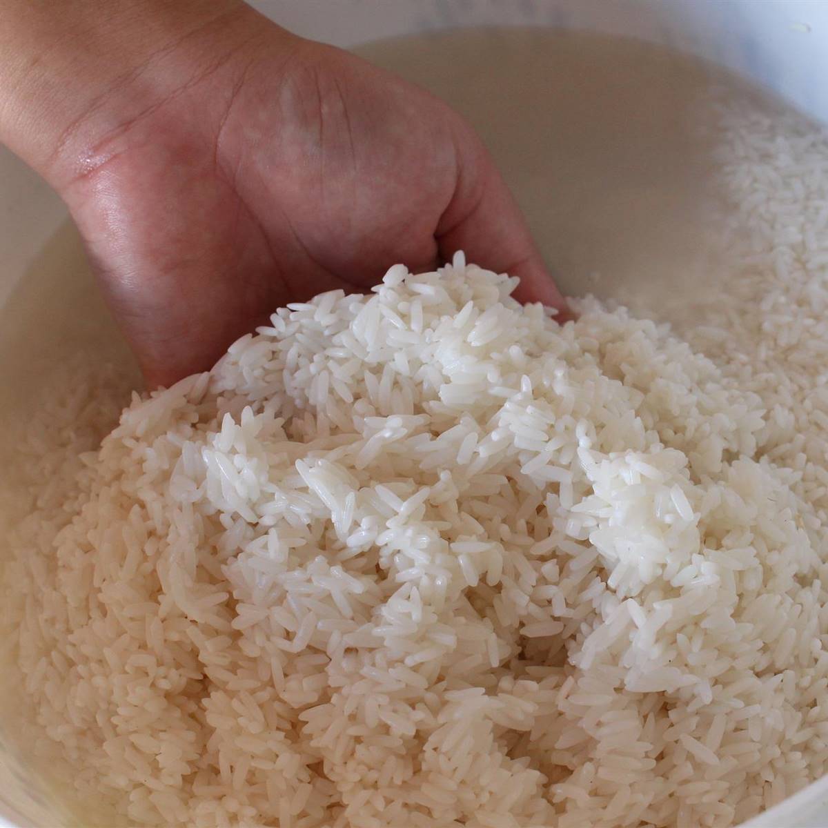 Arroz en remojo