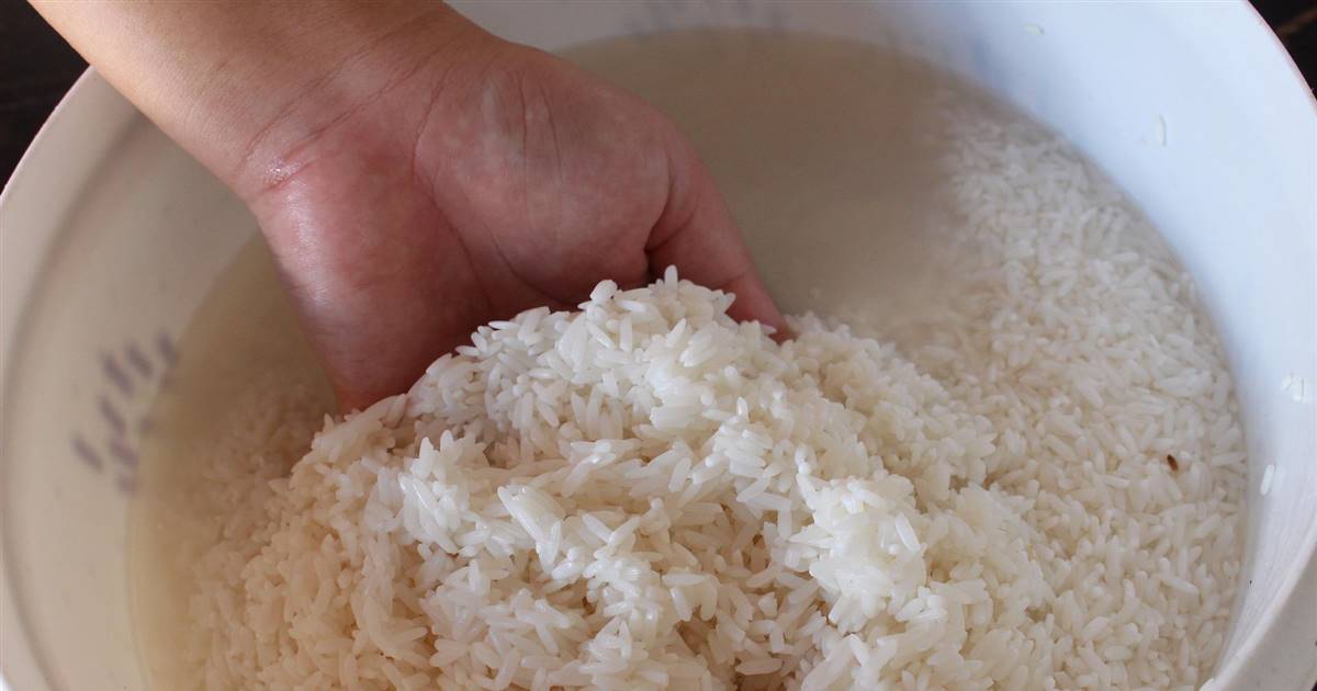 Agua de arroz para la cara y el pelo: receta casera