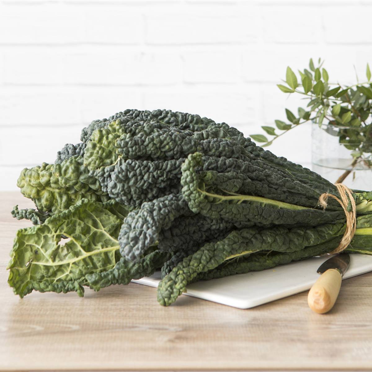 Kale, la col más "in" en el mundo bio
