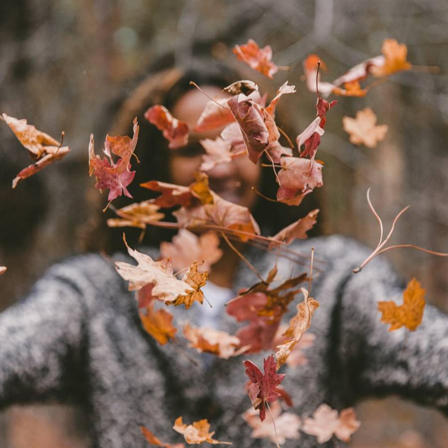 4 nutrientes que te ayudarán a pasar el otoño con salud