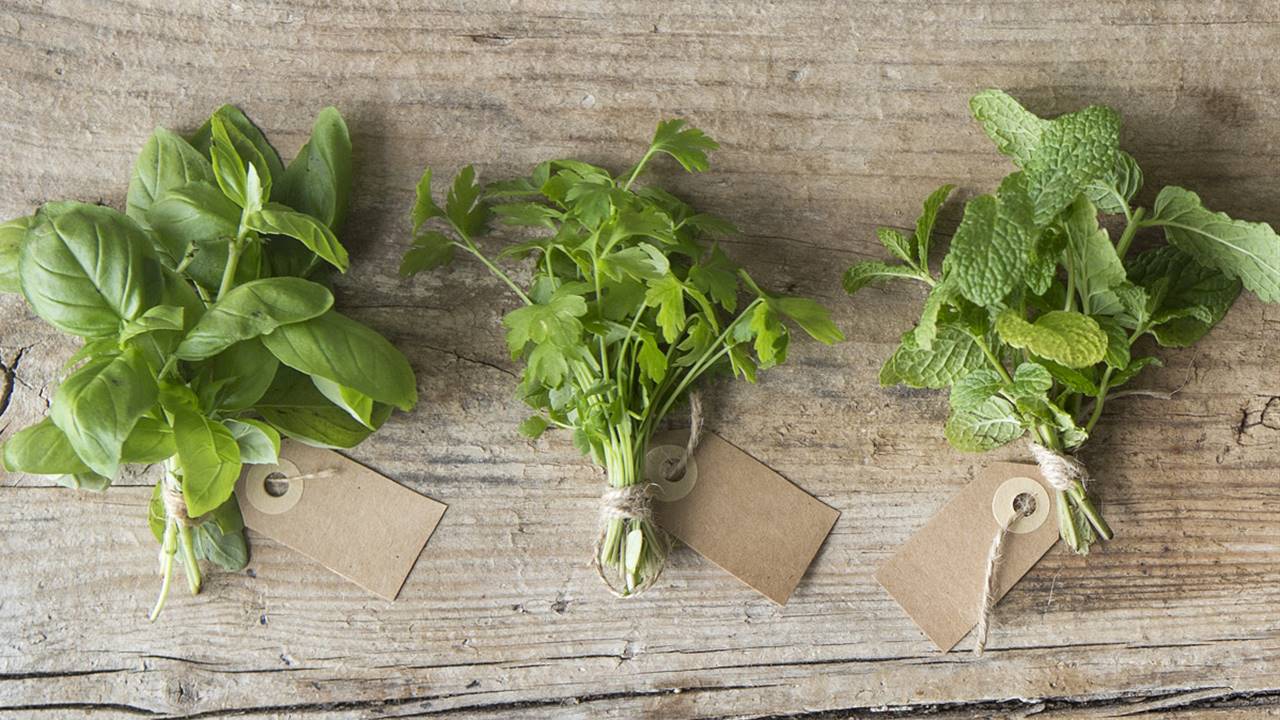 propiedades de las hierbas aromaticas