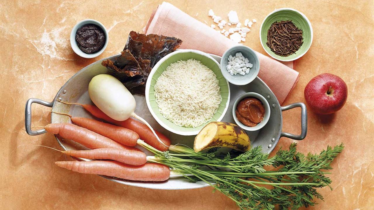 Alimentos terapeuticos diarrea