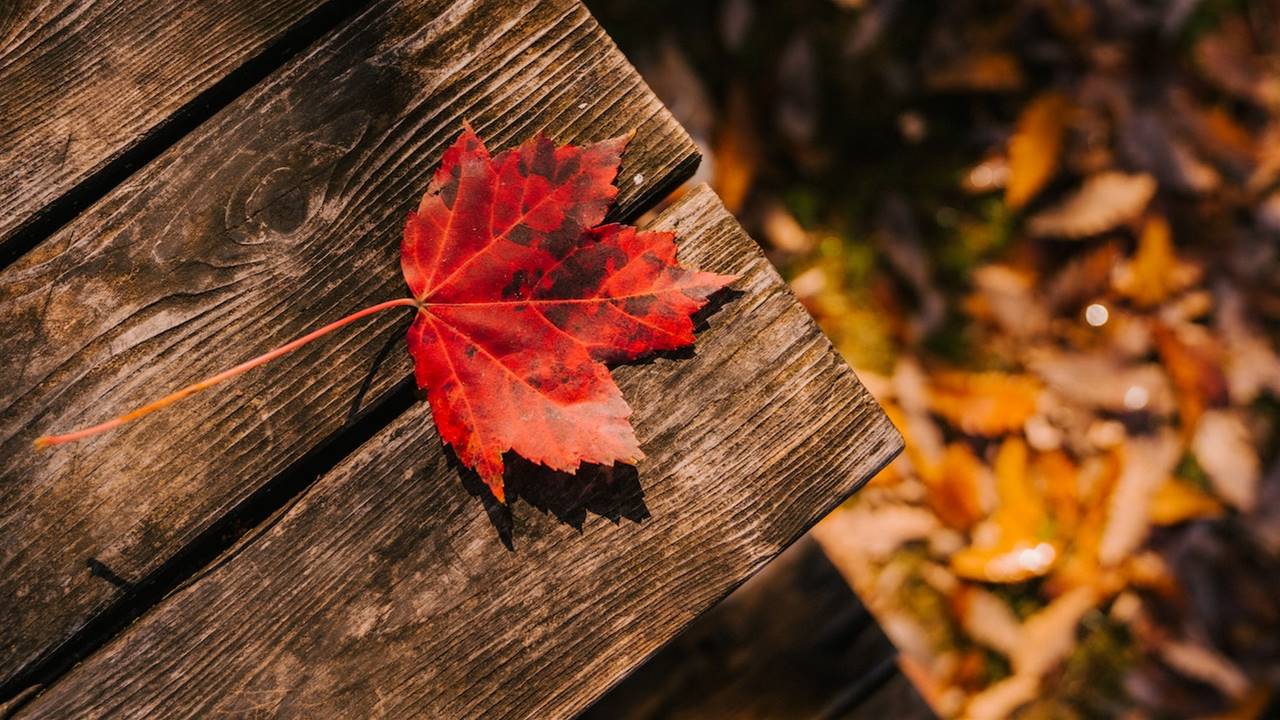Hoja de otoño sobre una mesa de madera y en suelo