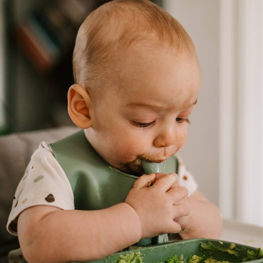 Papillas para bebés de 6 meses (caseras) que complementan la lactancia