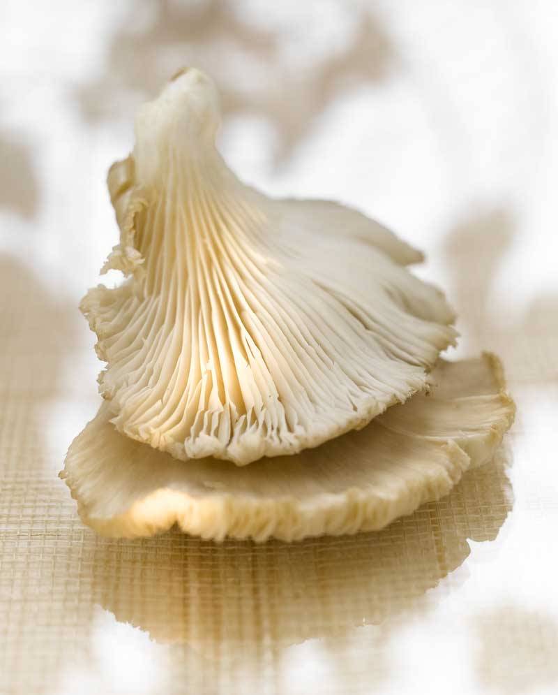 Gírgola