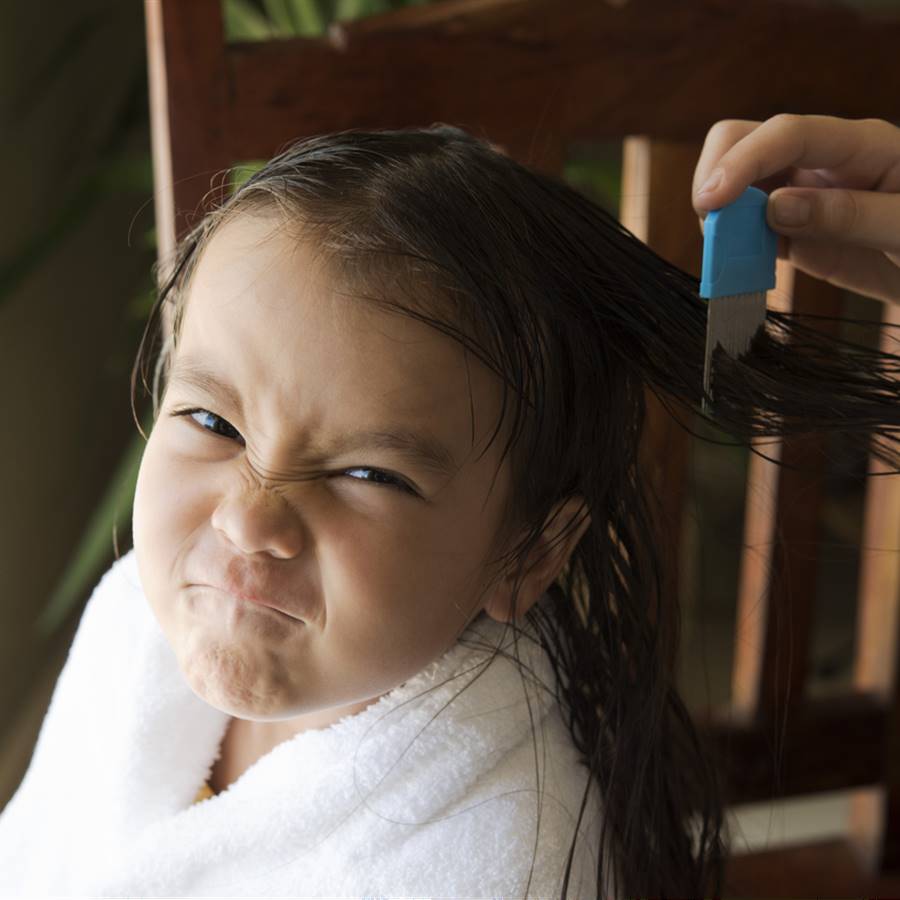 Piojos en niños y adultos: los tratamientos naturales más eficaces (y saludables)