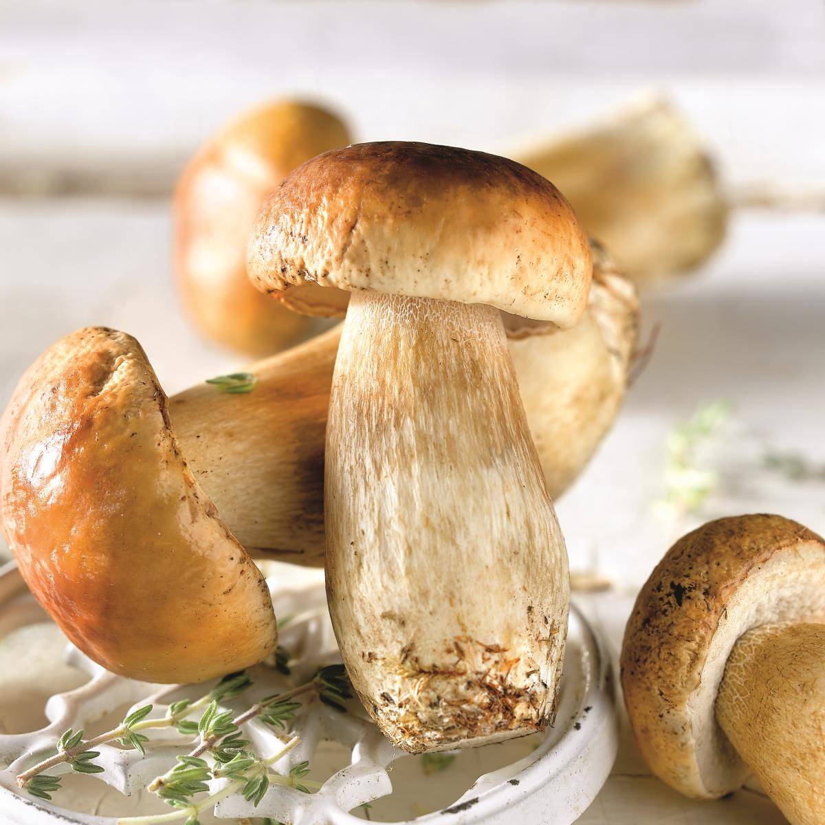 CEP