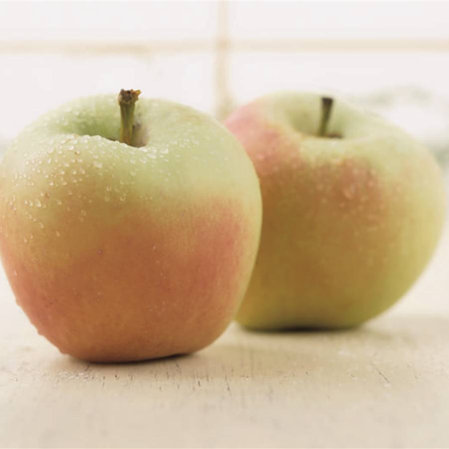 7 tipos de manzanas y cómo cocinarlas para aprovechar sus beneficios