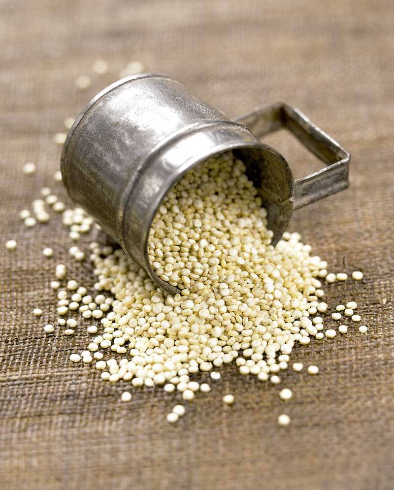 Quinoa