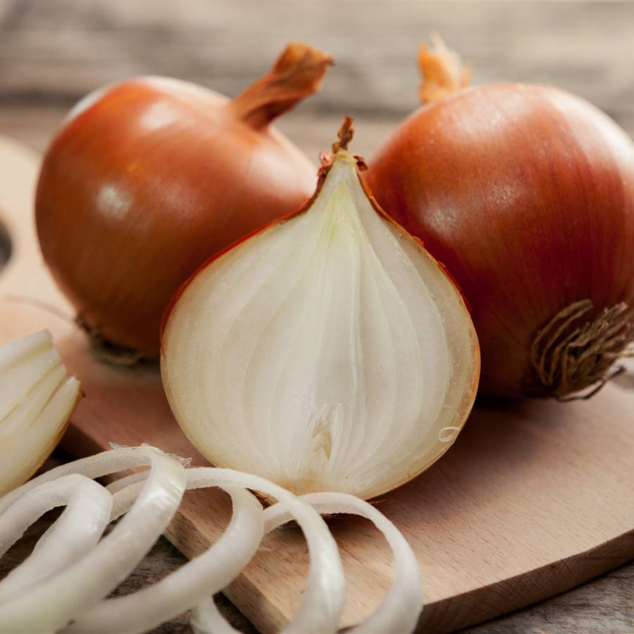 Cebollas 