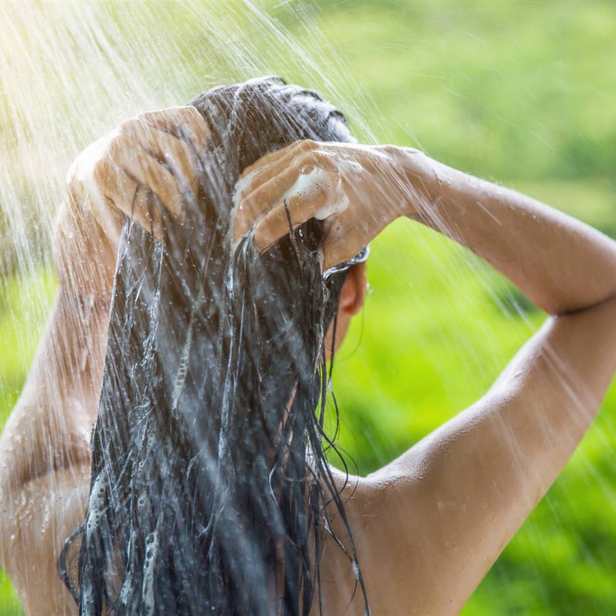 7 plantas que cuidan tu cabello (y un champú casero)