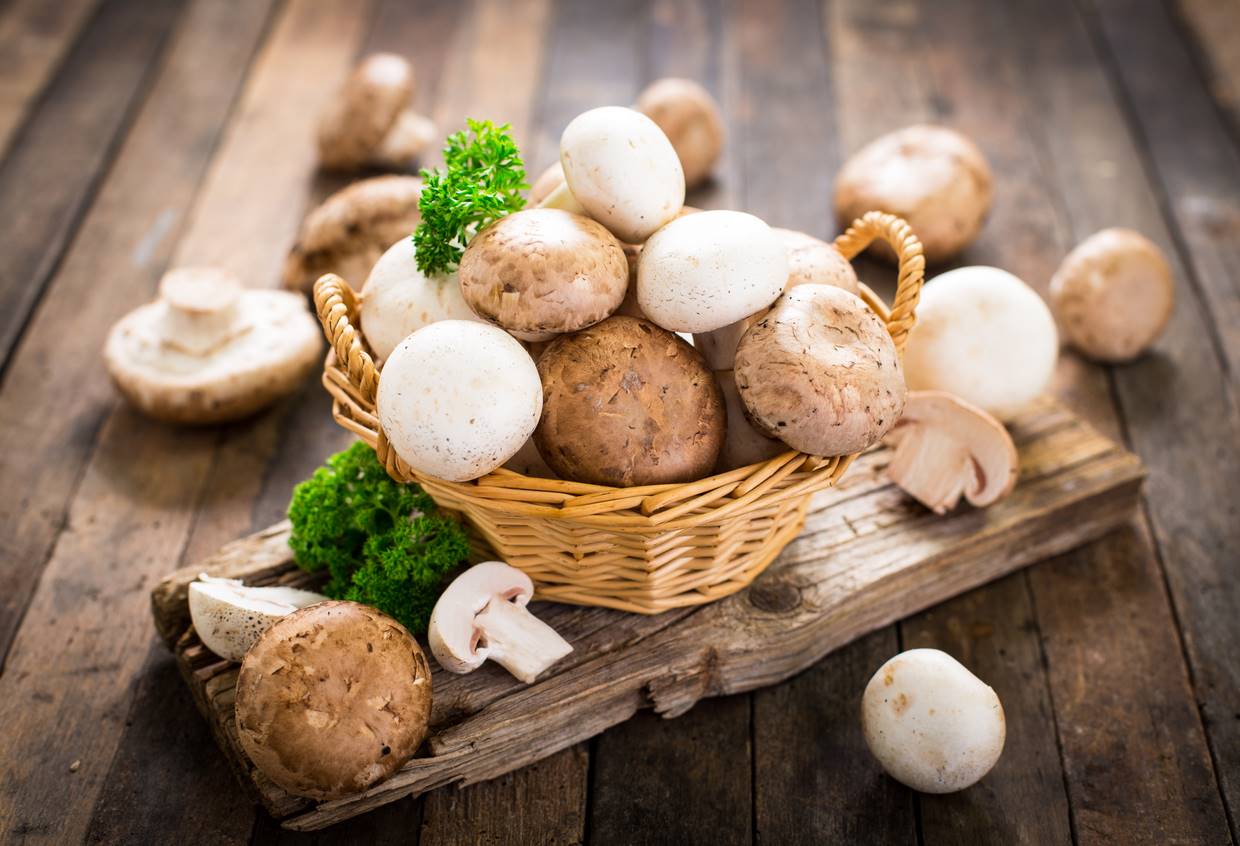iStock-528304232