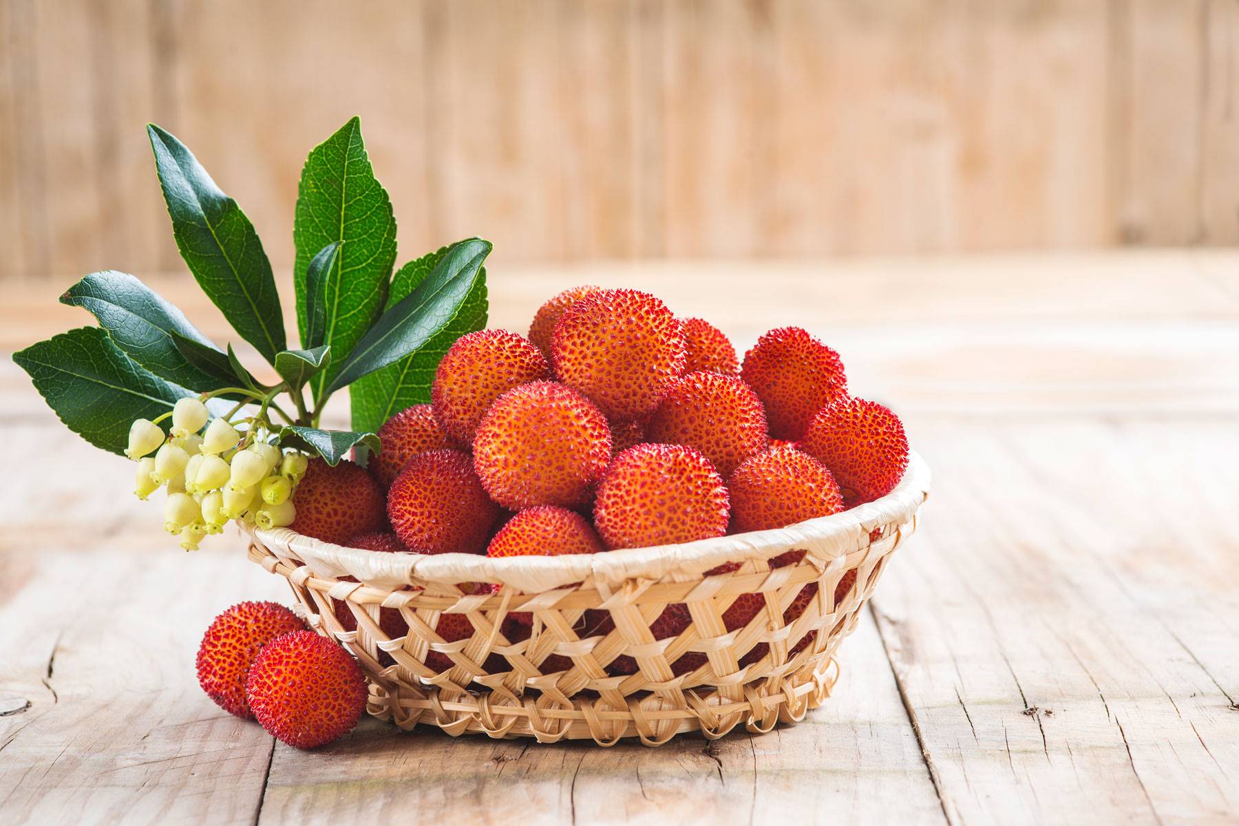 fruta-temporada-noviembre-madrono