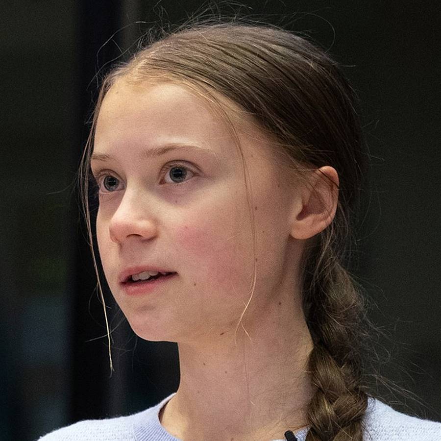 El libro del clima: la gran obra de Greta Thunberg 