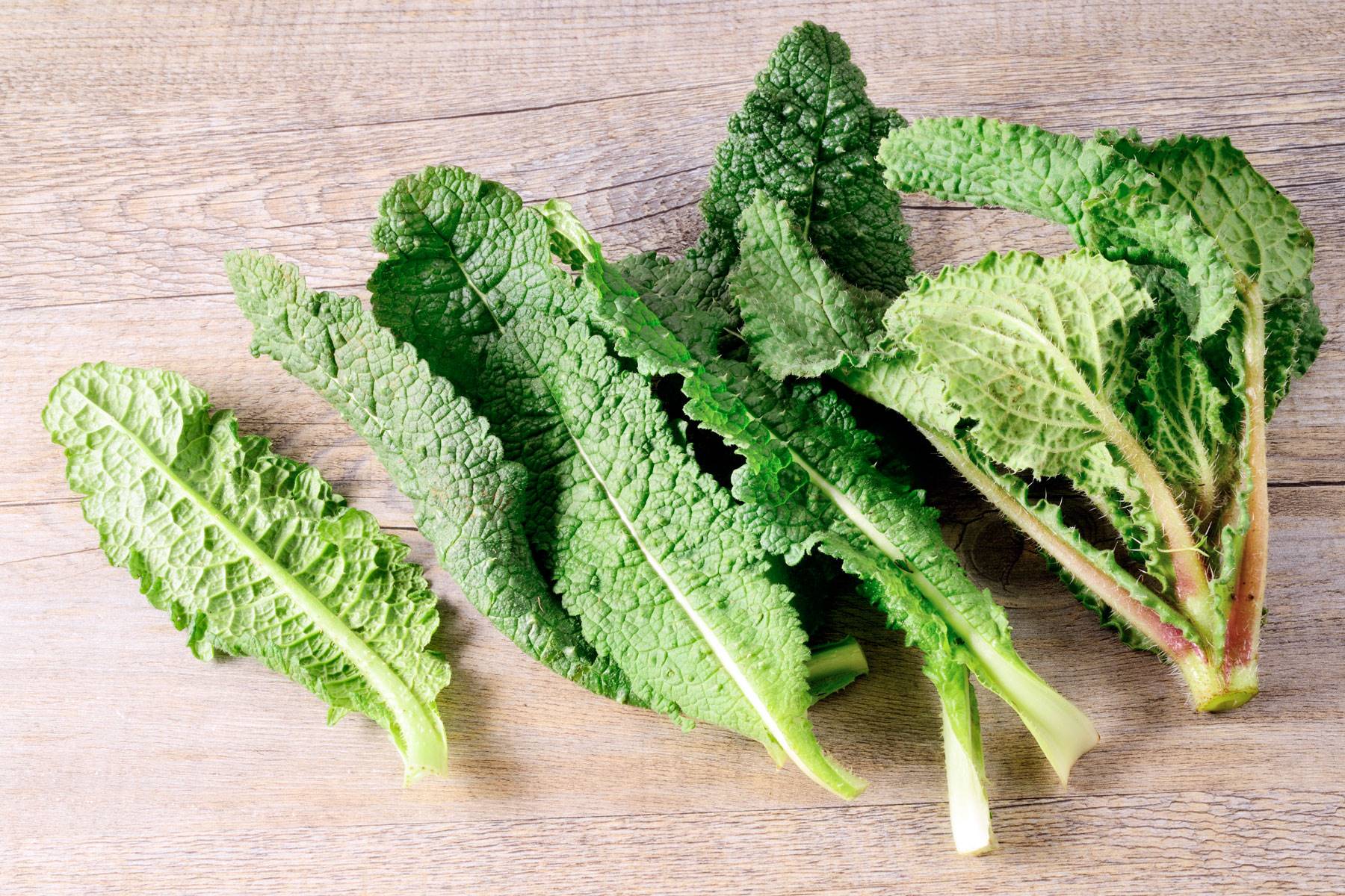 verduras-noviembre-borraja