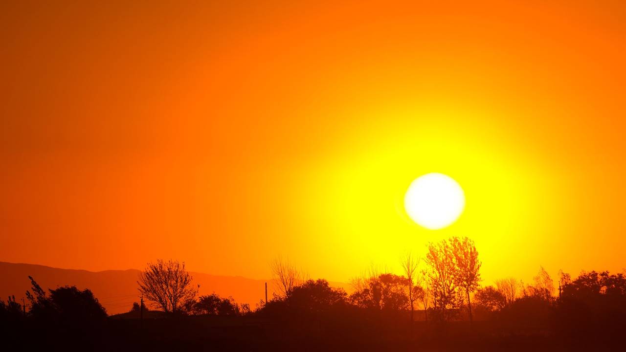 sol