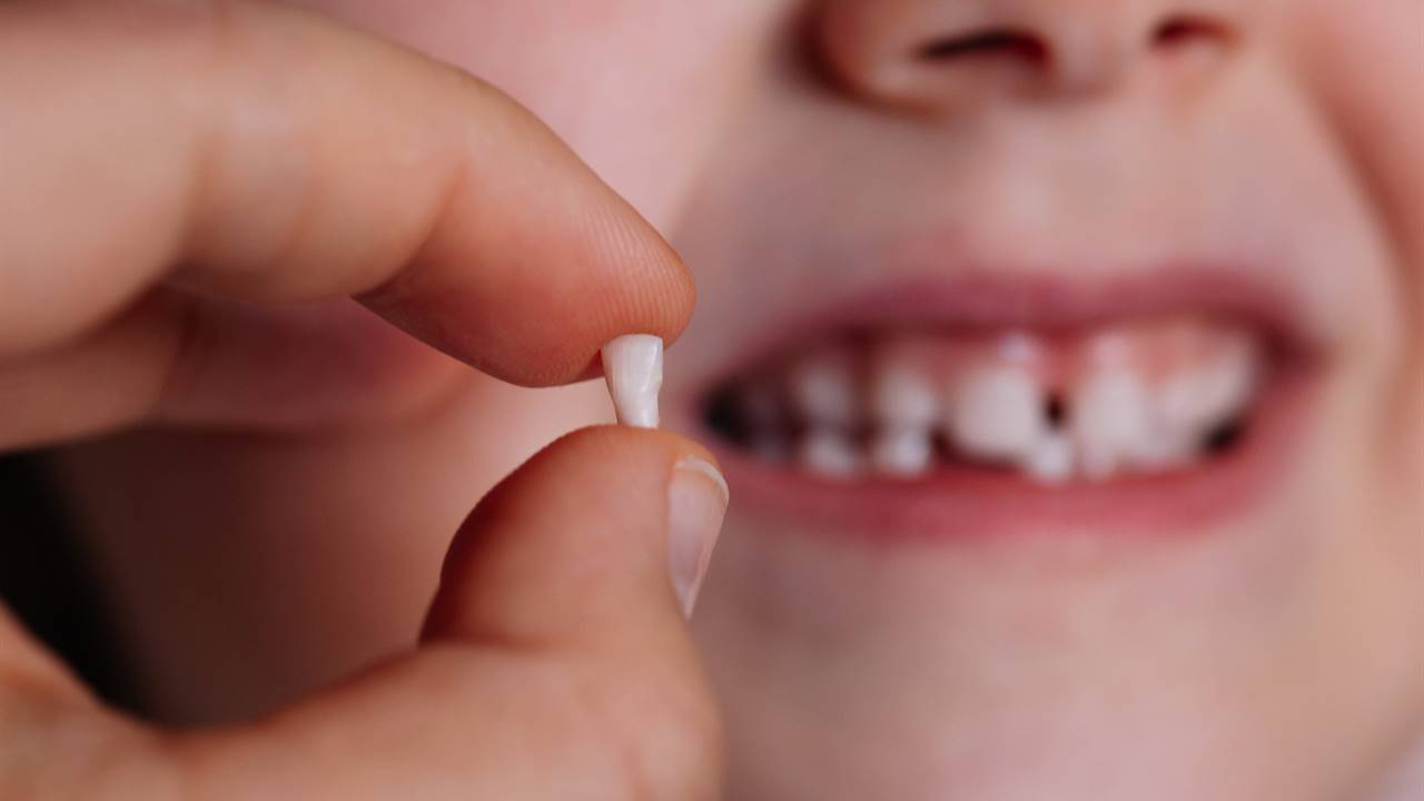 cuándo-se-empiezan-a-caer-los-dientes-de-leche