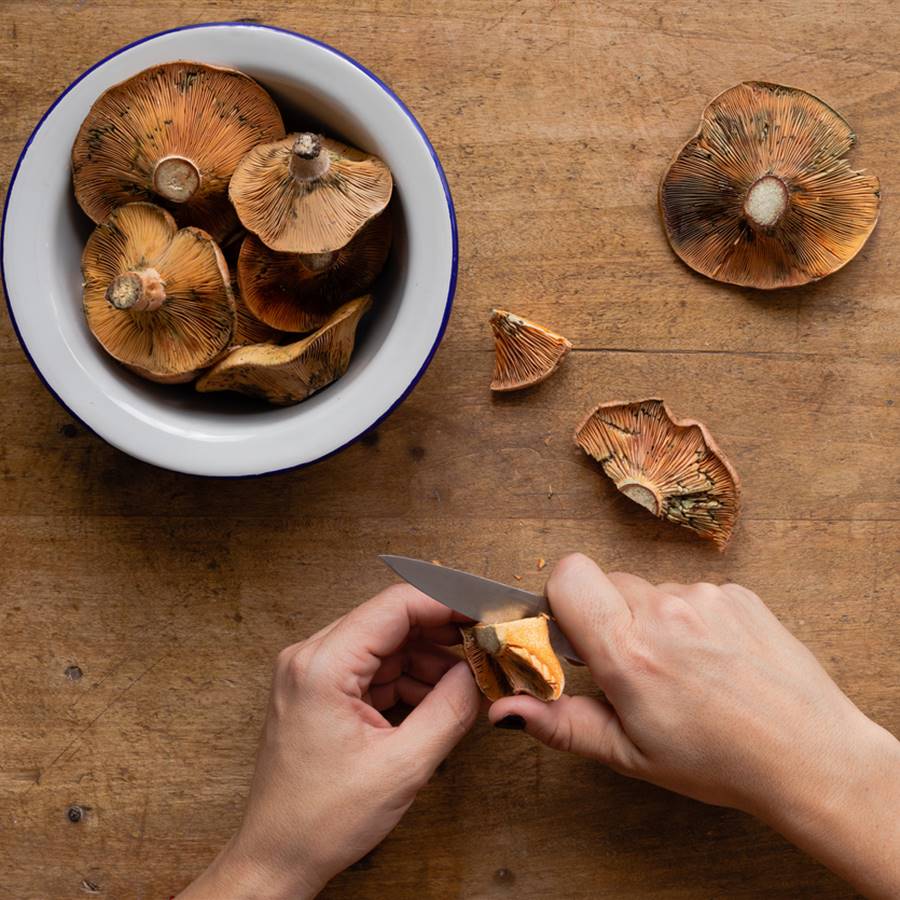 Cómo cocinar níscalos: recetas fáciles y trucos para que queden perfectos