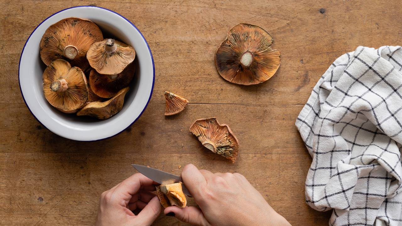 Cómo cocinar níscalos
